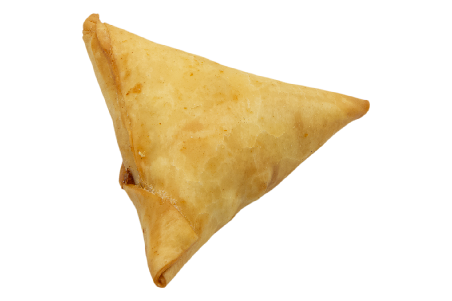 Samosa Icon